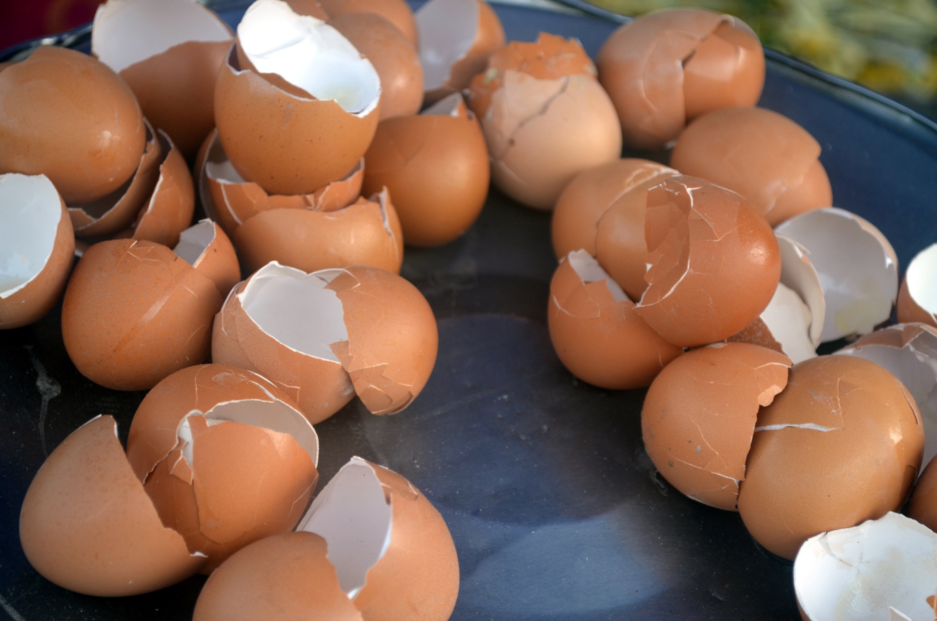 Source: https://www.needpix.com/photo/1315803/egg-shell-shells-broken-cooking-chicken-food